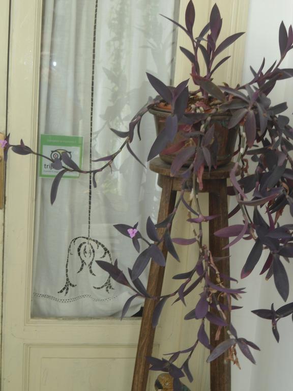 Rosella Bianchi Acomodação com café da manhã Palermo Quarto foto